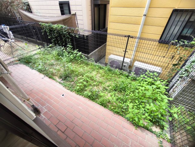 庭