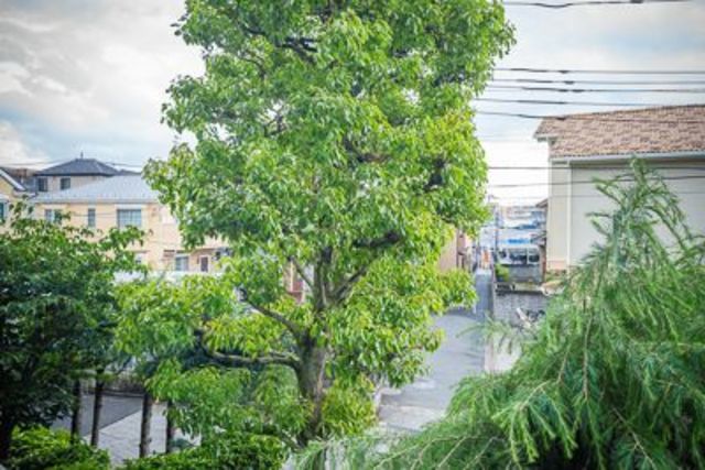 府中中河原パーク・ホームズのその他写真