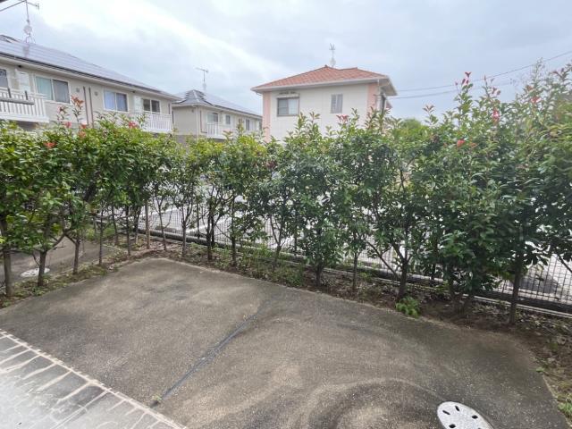 庭
