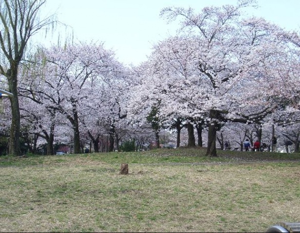 【ルーブル川崎都町弐番館の公園】