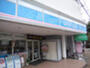 コンビニ　ローソン 那覇開南バス停前店（コンビニ）まで162m