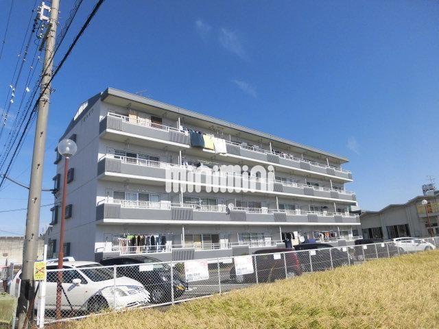 建物外観　南向きで明るいマンションですね。