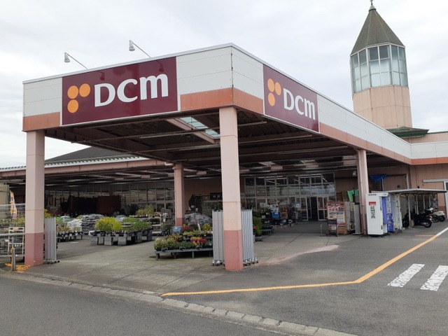 ホームセンター　ＤＣＭダイキ垣生店（ホームセンター）まで1100m