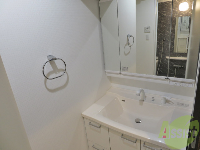 洗面設備　大きなシャワー付き洗面化粧台があります。使いやすそう。