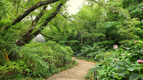 公園　三井の森公園（公園）まで1386m