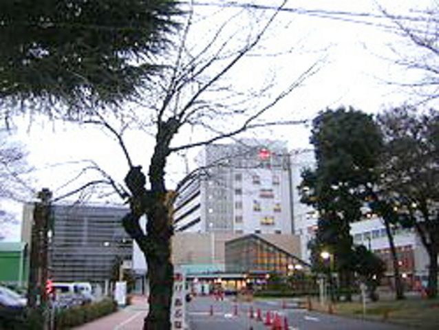 病院　武蔵野赤十字病院（病院）まで1200m