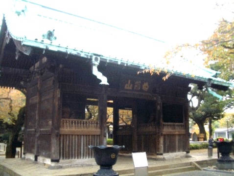 公園　林試の森公園（公園）まで913m