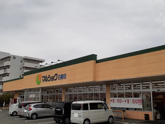 スーパー　マルショク白藤店（スーパー）まで510m