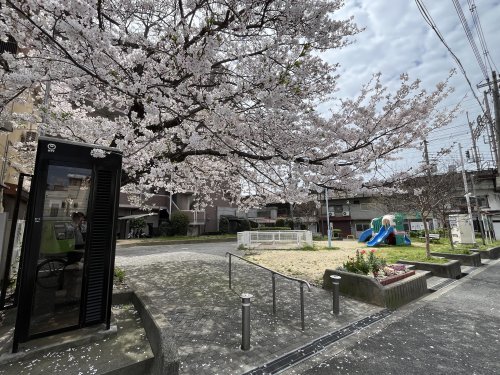 公園　北田辺公園（公園）まで431m