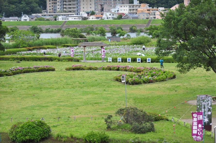 公園　小岩菖蒲園（公園）まで1034m