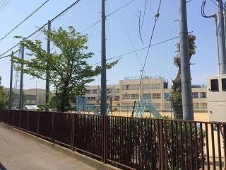 小学校　岸和田市立常盤小学校（小学校）まで390m