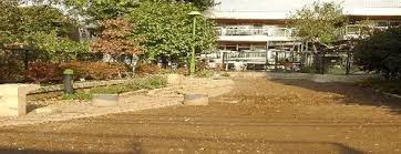 公園　阿佐谷こぶし緑地（公園）まで206m