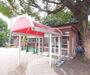 幼稚園・保育園　北白川幼稚園（幼稚園・保育園）まで300m