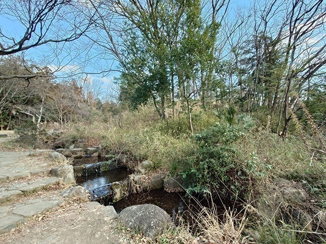 公園　桜台公園（公園）まで329m