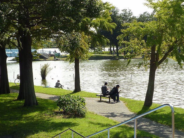 【アイリス水元の公園】