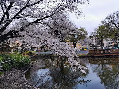 【デルフォカーサトーアの公園】