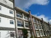 中学校　鶴居中学校（中学校）まで1794m