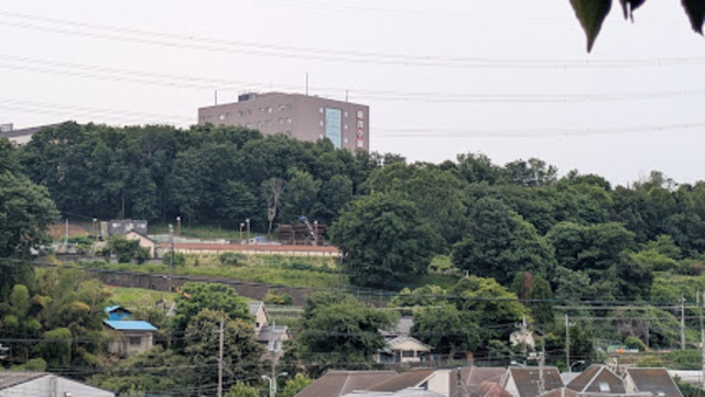 大学・短大　私立駒沢女子大学（大学・短大）まで2060m