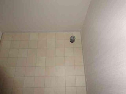 その他　洗濯機置場