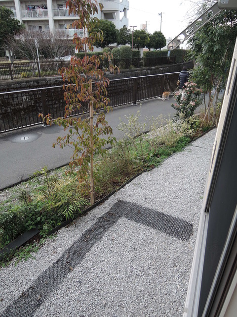 バルコニー　★ダイニングの窓から★