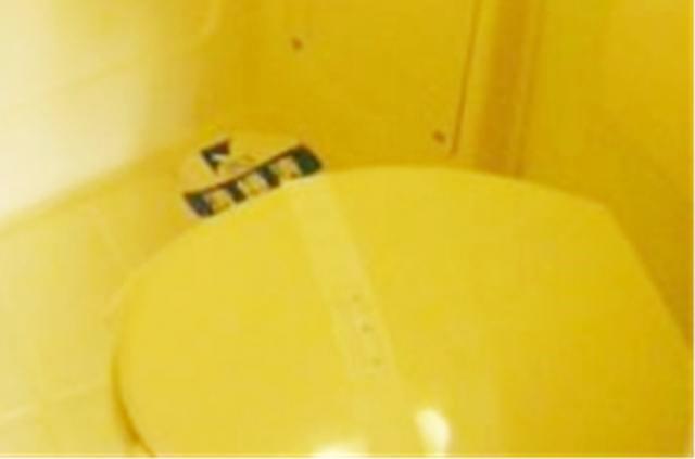 トイレ　同仕様参考写真