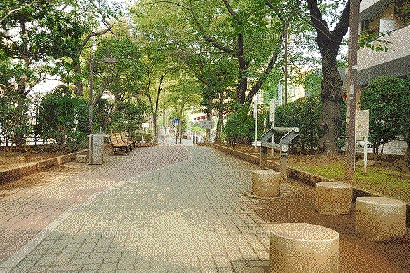 公園　亀戸緑道公園（公園）まで708m