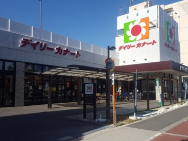 スーパー　デイリーカナート住吉店（スーパー）まで174m