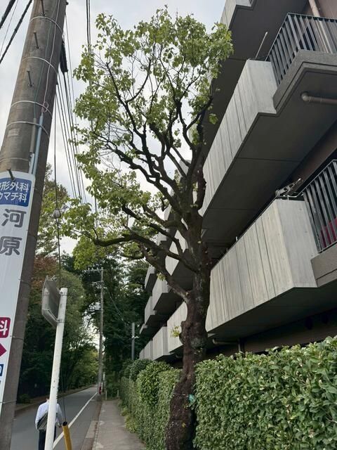 その他　★駐車場★