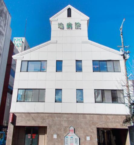 病院　杏林会嶋病院（病院）まで803m