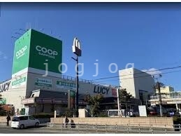 スーパー　コープさっぽろLucy店（スーパー）まで372m