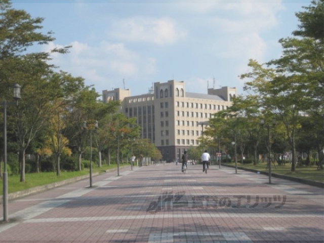 【草津市野路東のマンションの大学・短大】