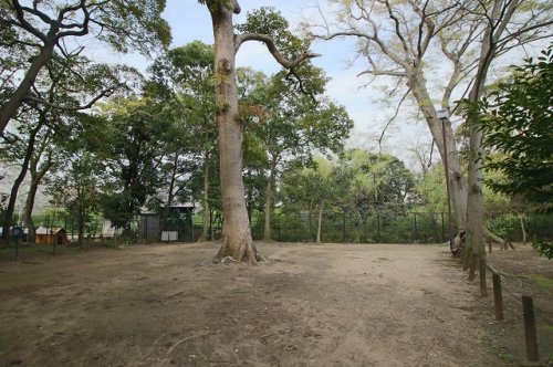 【サングランデ津田沼の公園】