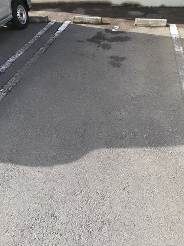 セリナ Aのその他写真