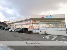 ドラックストア