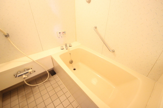 バス・シャワールーム　※別部屋の写真です