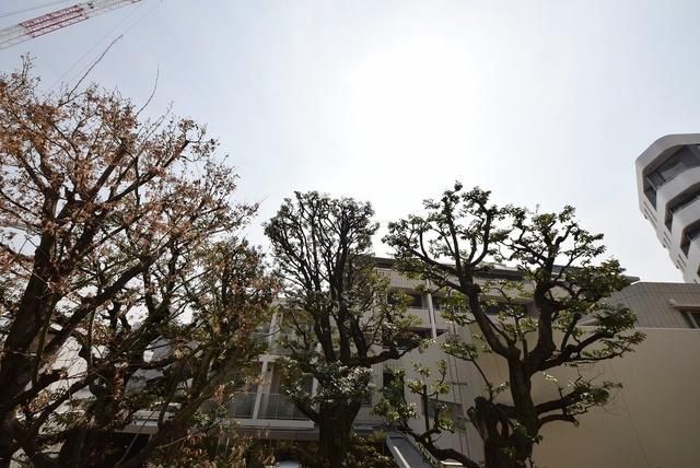 眺望　【初期費用分割・クレカ対応】一都三県のお部屋探しは2025…