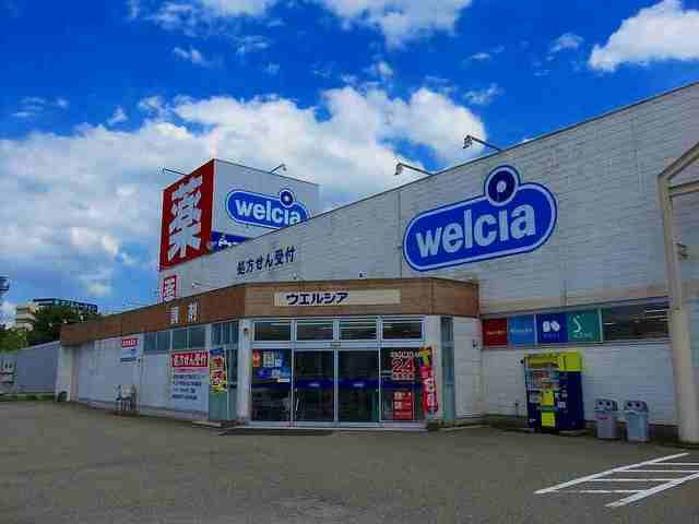ドラックストア　ウエルシア砺波豊町店（ドラッグストア）まで1200m