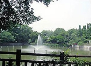 公園　碑文谷公園（公園）まで607m