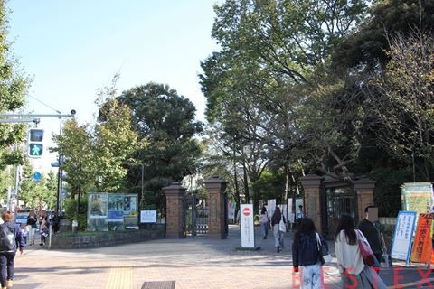 高校・高専　私立学習院女子高等科（高校・高専）まで695m