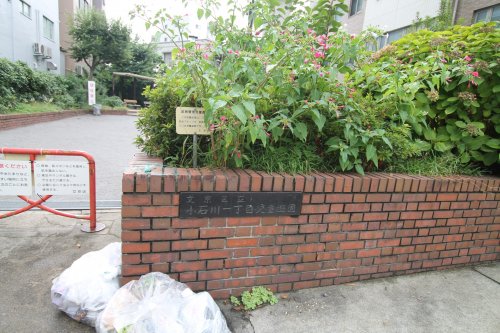 公園　小石川1丁目児童遊園（公園）まで150m