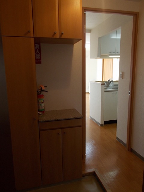玄関　違う号室の写真です