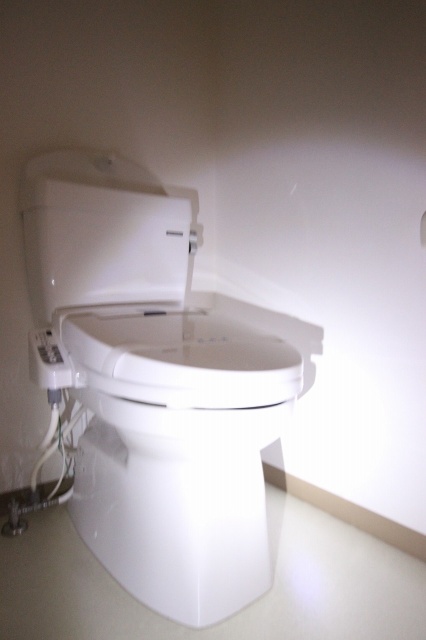 トイレ　写真は別号室のものです。