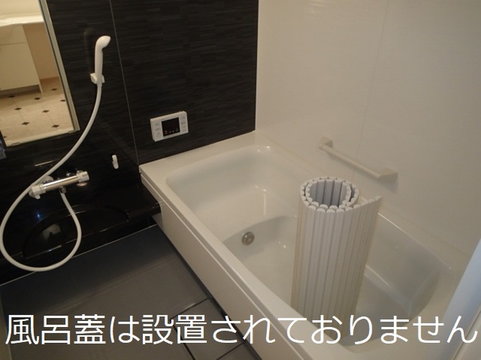 D-Room・SK IIの風呂写真