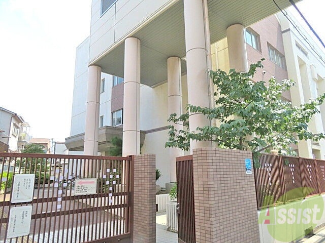 小学校　大開小学校（小学校）まで508m