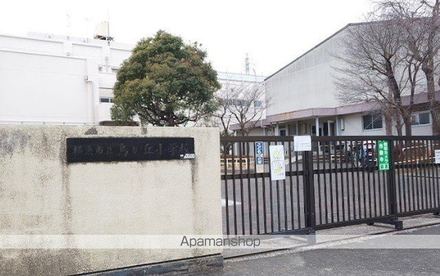 小学校　横浜市立鳥が丘小学校（小学校）まで529m