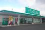 ドラックストア　ザグザグ加須山店（ドラッグストア）まで736m