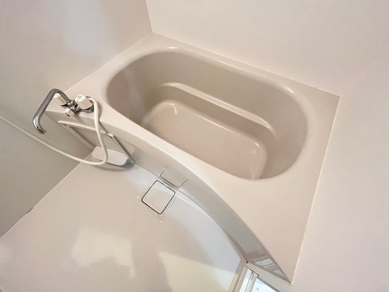 バス・シャワールーム　※別部屋の写真です