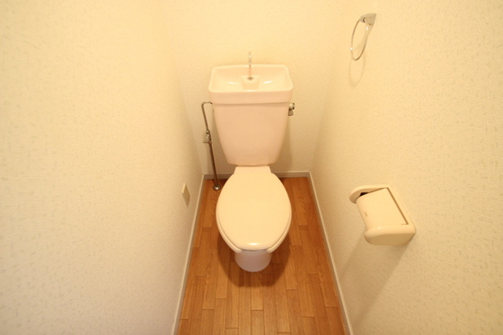 トイレ　※別号室の写真です