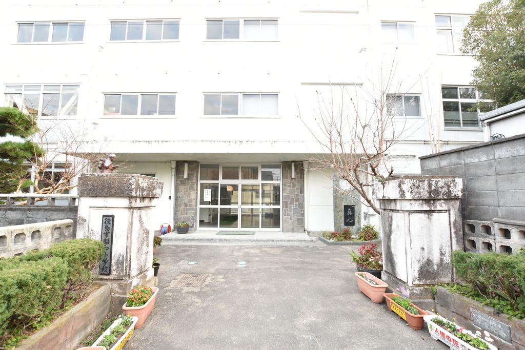 小学校　徳島市立昭和小学校（小学校）まで599m
