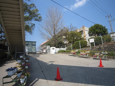 【シャイニング　ツリーの小学校】